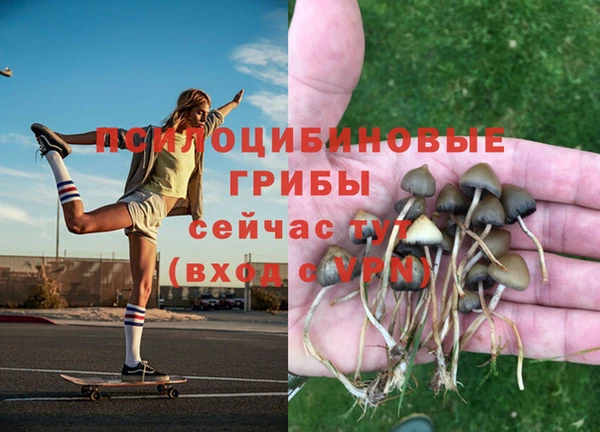 а пвп мука Алзамай