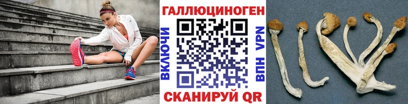 дарнет шоп гидра онион Псилоцибиновые грибы GOLDEN TEACHER Апрелевка